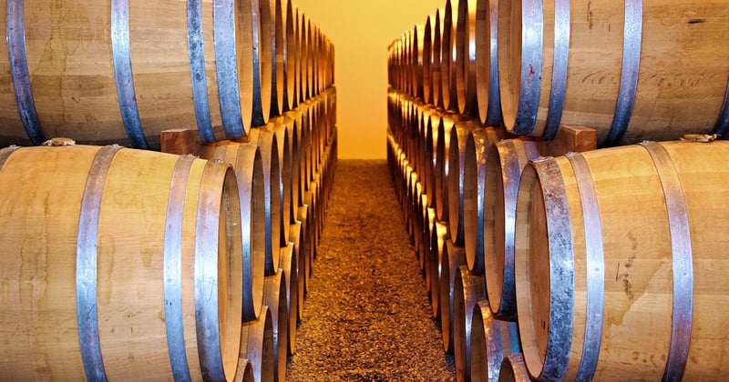 Visiter les vignobles et domaines viticoles en Bourgogne : le guide