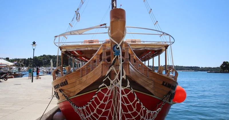 Comment les voir : excursion, bateau privé ou depuis la plage