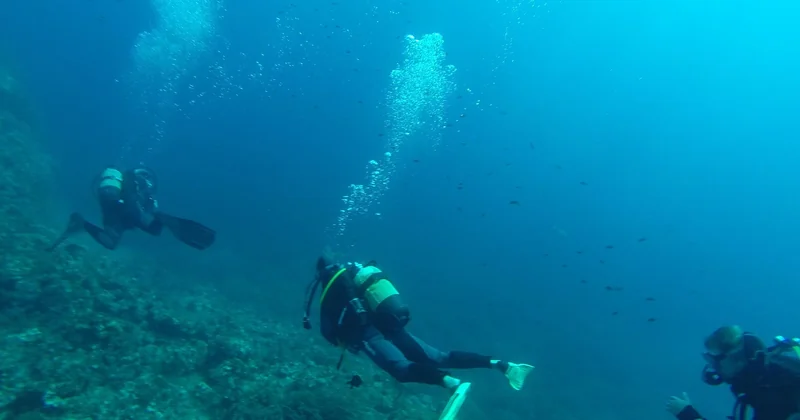 Le meilleur spot de plongée en France métropolitaine